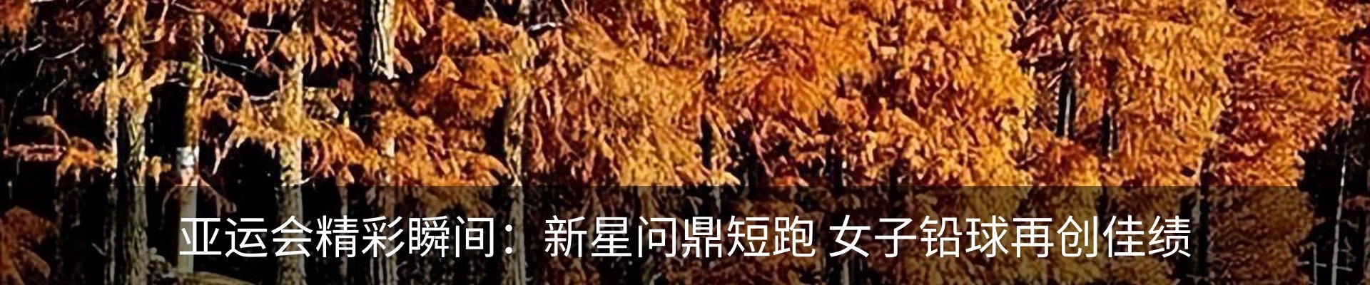 内页banner
